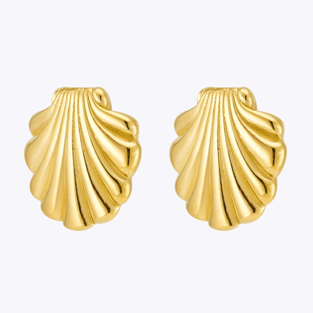 Seashell Earrings